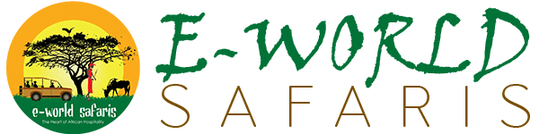 EWorld Safaris
