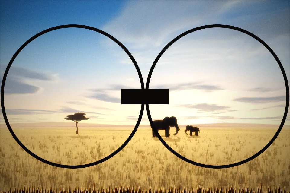 Illustration of a binocular view showing two elephants and an acacia on the savanna at golden hour, framed by two dark round lenses.