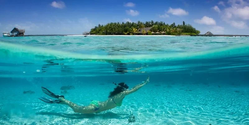 Illustration of a turquoise lagoon with mushroom-shaped coral rocks, a green sea turtle in the clear shallows, and a dhow on the horizon.